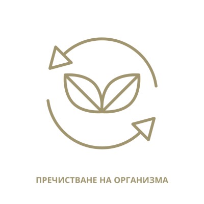 Пакет "Детокс"