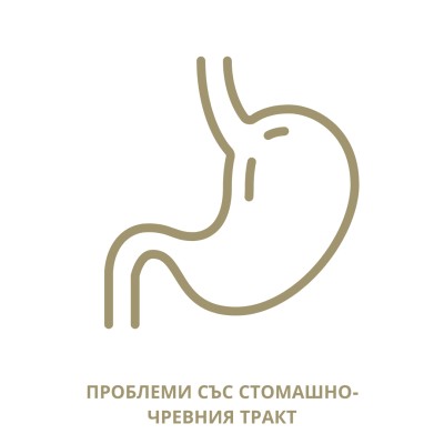 Пакет “Стомах”
