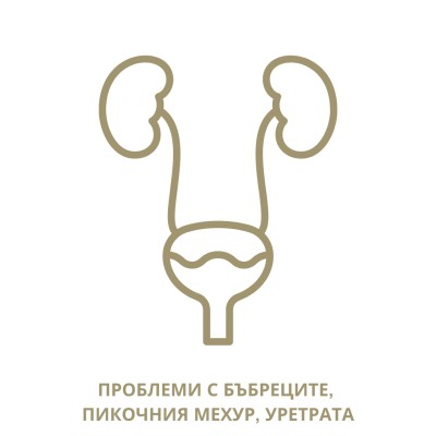 Пакет "Уринарен тракт"