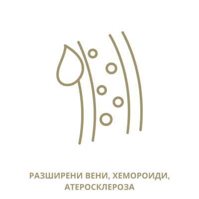 Пакет "Съдова система"