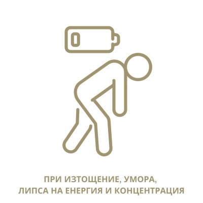 Пакет “Тонус и концентрация”