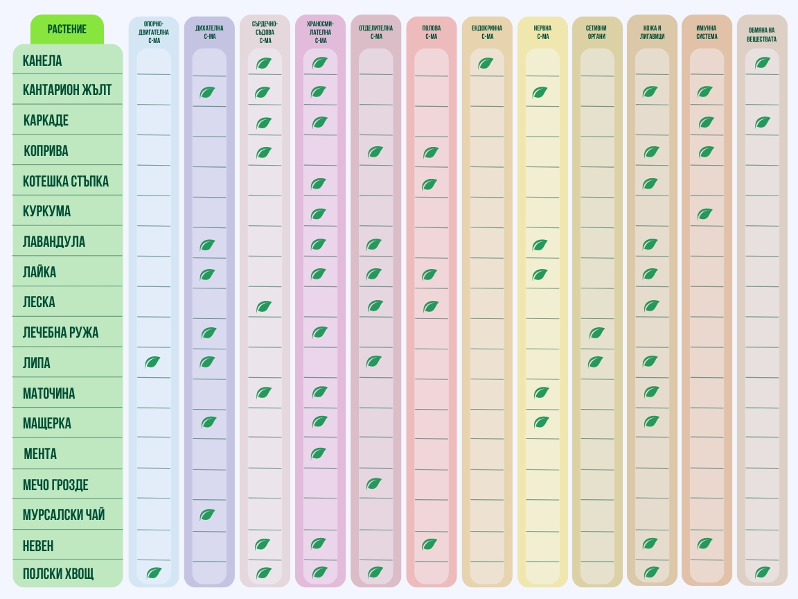 таблица с органите и системите в тялото, за които помагат отделни билки